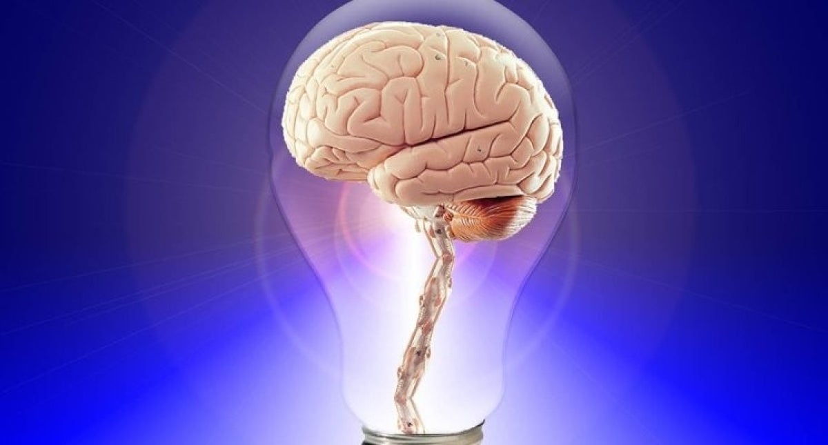 Brain in a light bulb 