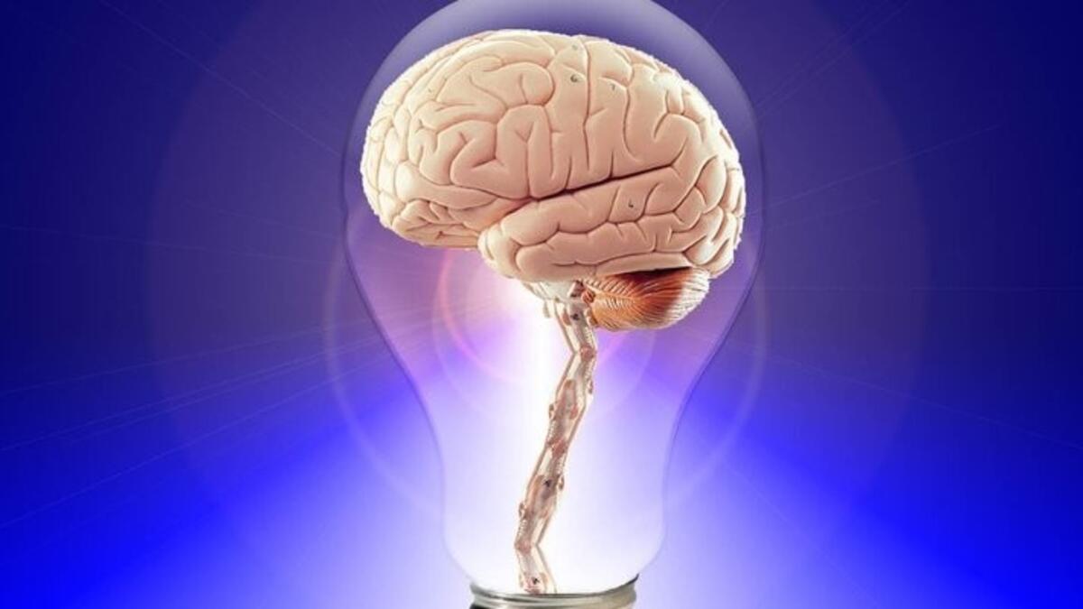 Brain in a light bulb 