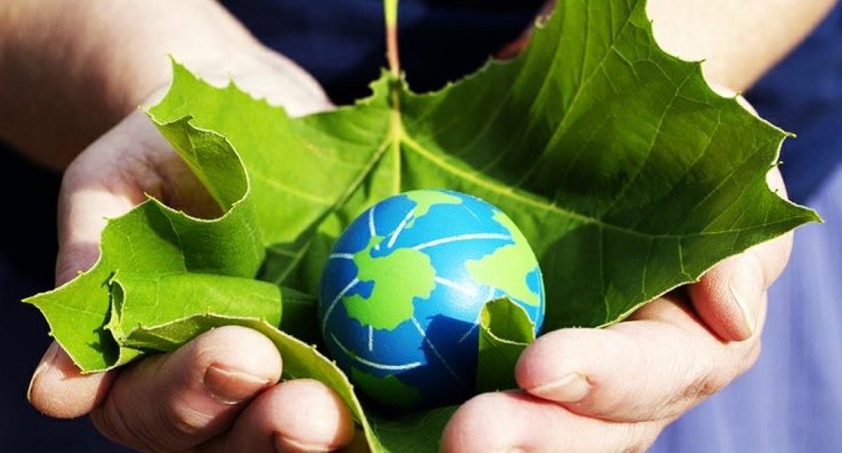 Earth and leaf in two hands 